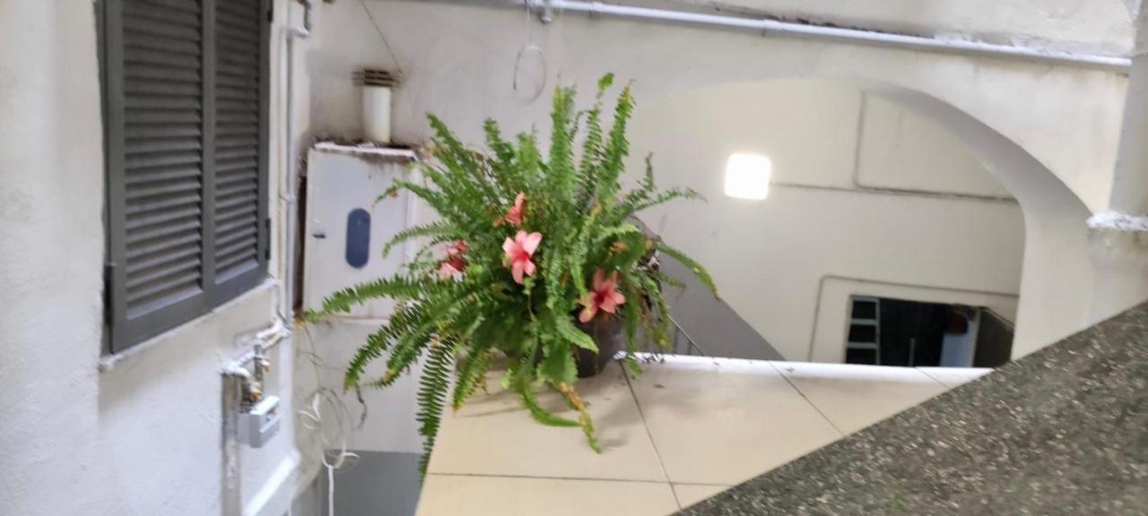 Centro Storico S Chiara House Apartment Napoli Ngoại thất bức ảnh